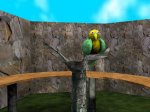 CG zoo bird closeup screenshot